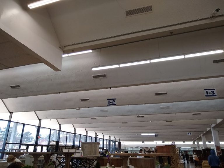 Treasure Island Retail Giant; An Iconic MidCentury Discount Store