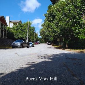 DHC Blog: Buena Vista Road