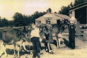 DHC Blog: Post War DeKalb