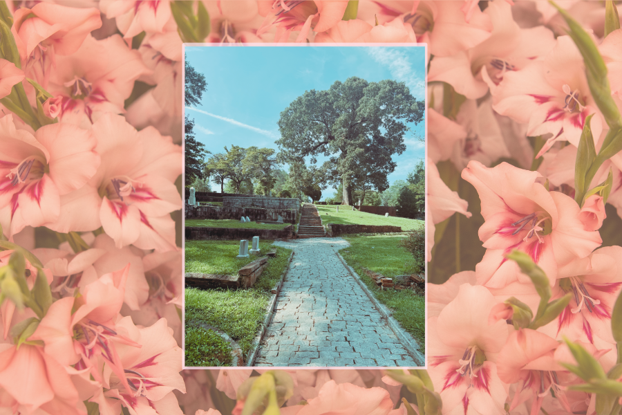 DHC Blog: Black Cemeteries