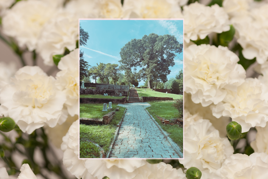 DHC Blog: Black Cemetery Part II