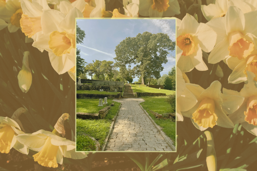 DHC Blog: Historic Black Funeral Homes