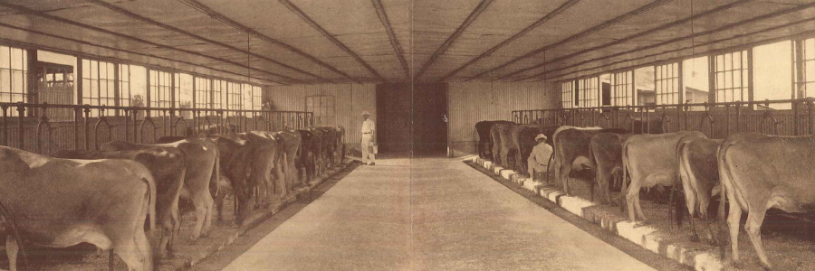 avondale-dairy DHC Exhibit: Avondale History Dairy Barn