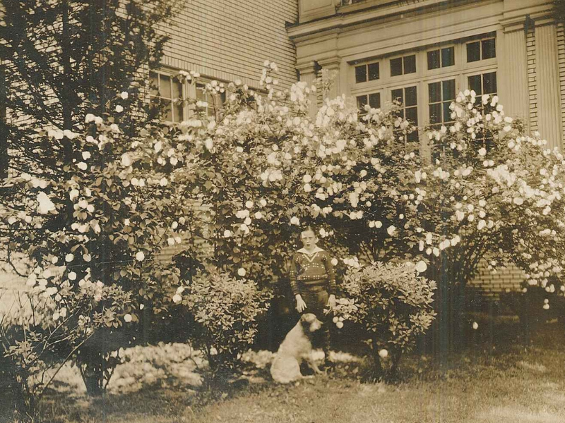 john-willis DHC Exhibit: Avondale History
