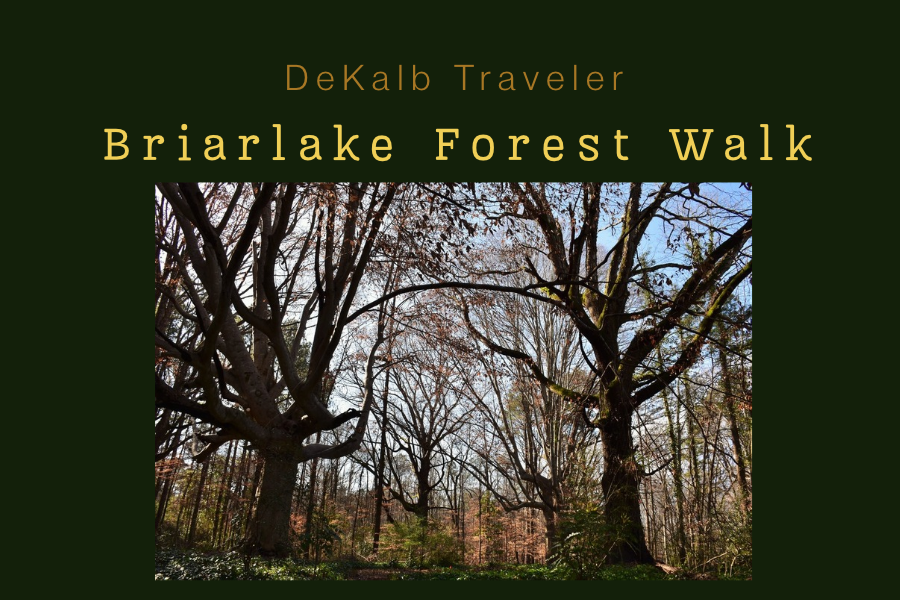 Join DHC Members as we learn about Briarlake Forest.